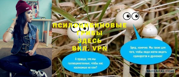 бошки Алексин