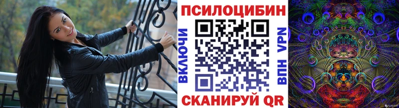 где можно купить наркотик  Саранск  Псилоцибиновые грибы Psilocybe 